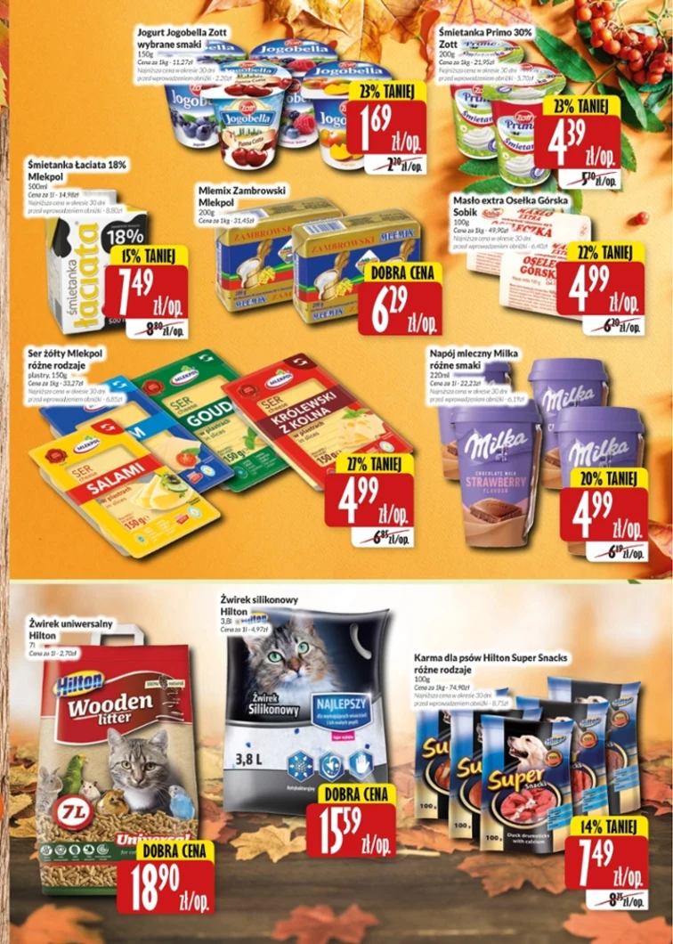 leaflet page preview image