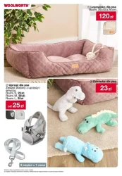 Home & Discount - Woolworth
