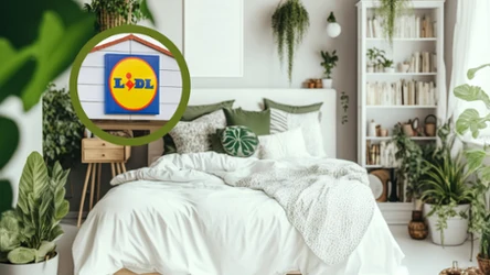 Już od poniedziałku w Lidlu pościel 50% taniej. Zobacz, jak skorzystać z rabatu