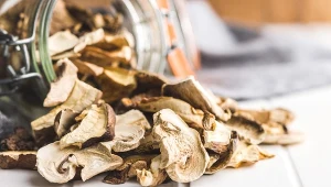 W piekarniku czy w suszarce. Jak najlepiej suszyć grzyby?