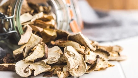 Dobrze wysuszone grzyby długo zachowają pełnię aromatu. Jak najlepiej suszyć grzyby?