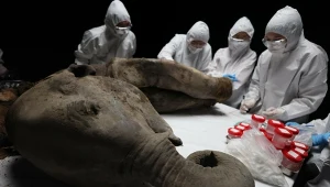 Wyizolowali najstarsze RNA świata. Olbrzym skrywał coś zaskakującego