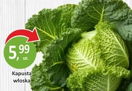 Капуста