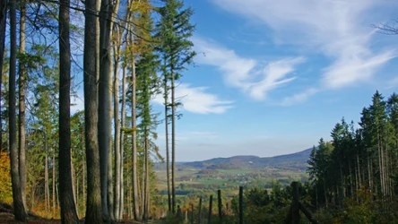 Dlaczego warto odwiedzić wschodnie Sudety? Oto co można tam zobaczyć