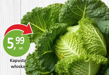 Капуста