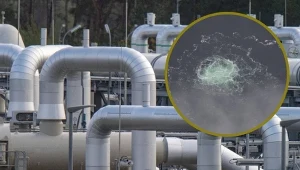 Wysadzenie gazociągu Nord Stream. Ruch śledczych ws. Wołodymyra Z.