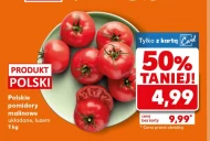 Помідори Polski