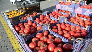 Polskie warzywa i owoce tanieją. Sprawdź, co opłaca się kupić w tym sezonie