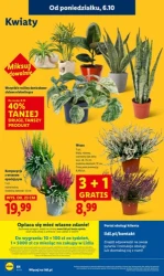 Oszczędzaj z nami! - Lidl