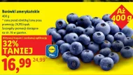 Borówki amerykańskie
