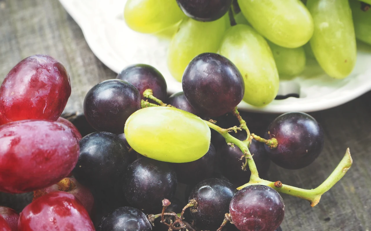 Na początku października winogrona są najsmaczniejsze, najtańsze i najlepsze dla zdrowia
