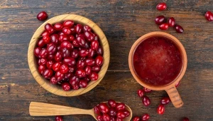 Nieco zapomniane, ale bardzo zdrowe. Owoce na mocne serce i odporność 