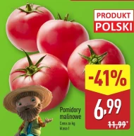 Pomidory Polski