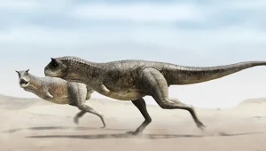Znaleźli drapieżnego dinozaura. Przebijał nawet wielkiego tyranozaura
