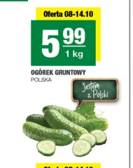 Ogórek Polski