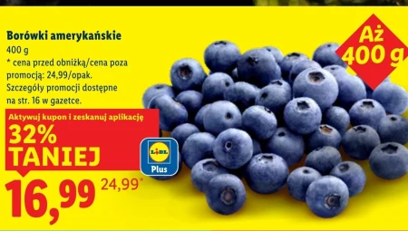Borówki amerykańskie