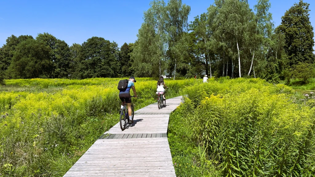Dwoje rowerzystów jedzie drewnianą ścieżką przez zielone łany wysokiej trawy i żółtych kwiatów, w tle widać drzewa oraz bezchmurne niebo.