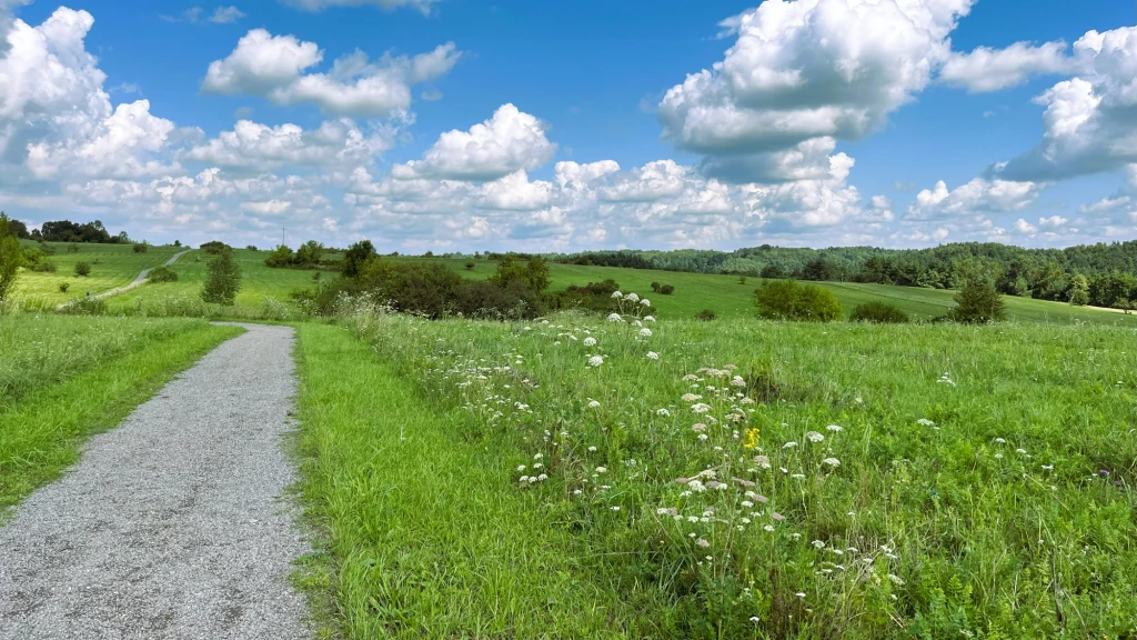 Żwirowa ścieżka przebiega przez zieloną łąkę z wysoką trawą i białymi kwiatami, otoczoną pagórkowatym terenem, a nad całością rozciąga się błękitne niebo z licznymi białymi chmurami.