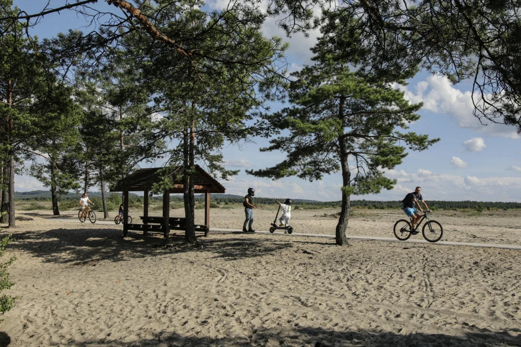 Rowerzyści poruszający się ścieżką przez piaszczysty teren, wokół rozrzucone drzewa sosnowe, pośrodku znajduje się drewniana altana z ławką, a niebo pozostaje jasne i bezchmurne.