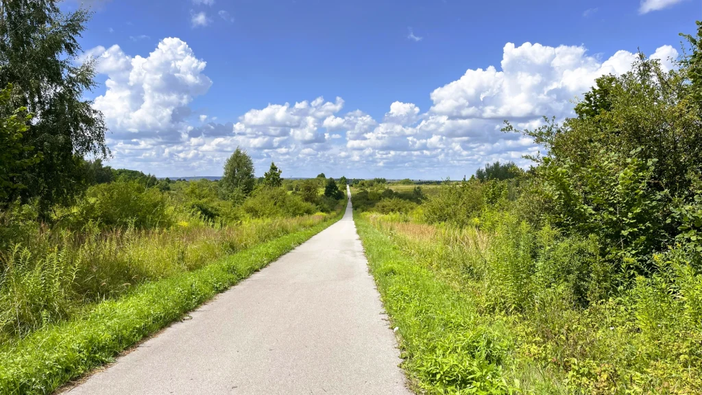 Asfaltowa droga biegnąca środkiem zielonego krajobrazu, otoczona wysokimi trawami i krzewami, pod błękitnym niebem z licznymi białymi chmurami.