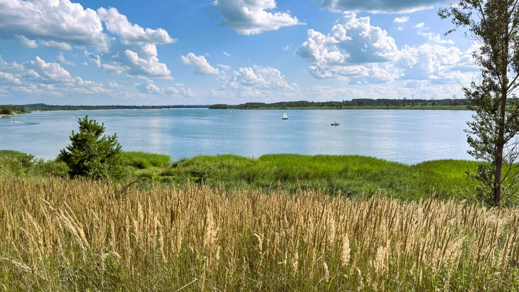Szeroka rzeka otoczona zielonymi trzcinami i wysokimi trawami, na wodzie żaglówka i mała łódź, nad całością niebo z licznymi białymi chmurami.