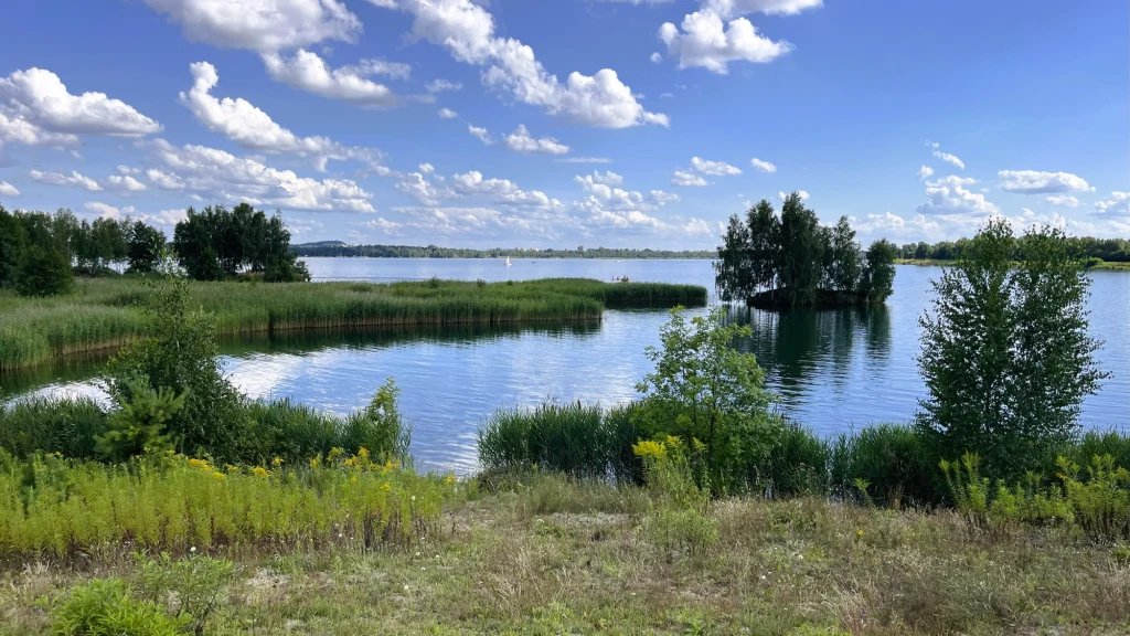 Jezioro otoczone zielenią i zaroślami z wyspami porośniętymi drzewami, niebieskie niebo z licznymi białymi chmurami, naturalny brzeg z trawą i żółtymi kwiatami.