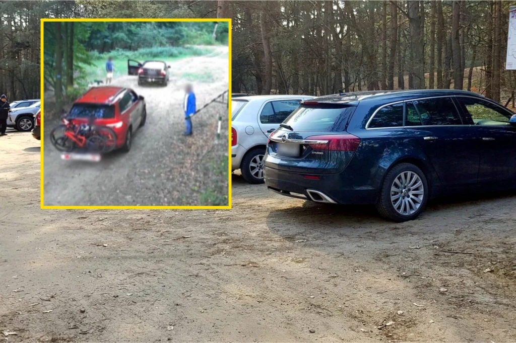 Kierowcy nie chcą stać w korku, więc wjeżdżają na teren Kampinoskiego Parku Narodowego. Kierowcy nie chcą stać w korku, więc wjeżdżają na teren Kampinoskiego Parku Narodowego.