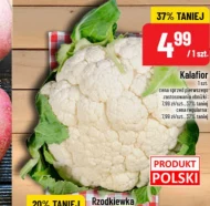 Kalafior Polski