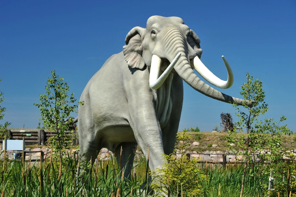 Figura słonia z rodzaju Palaeoloxodon. Największe gatunki tych słoni osiągały niebotyczne rozmiary