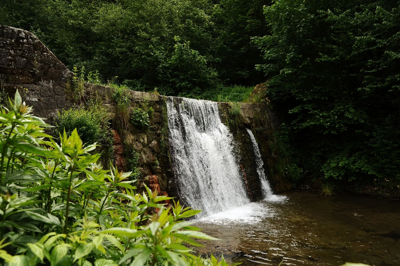 Łomnica-Zdrój obfita jest w przyrodnicze walory, takie jak wodospady czy mofety 