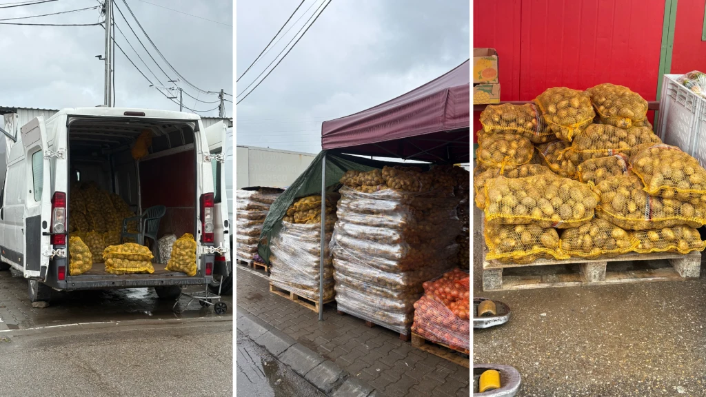 Sprzedawcy warzyw wskazują na zbyt dużą podaż Sprzedawcy warzyw wskazują na zbyt dużą podaż