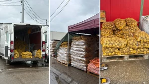 Sprzedawcy warzyw wskazują na zbyt dużą podaż 