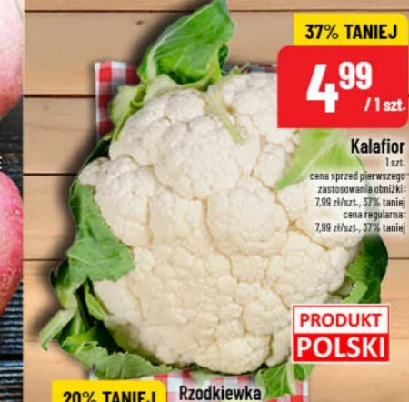 Kalafior Polski