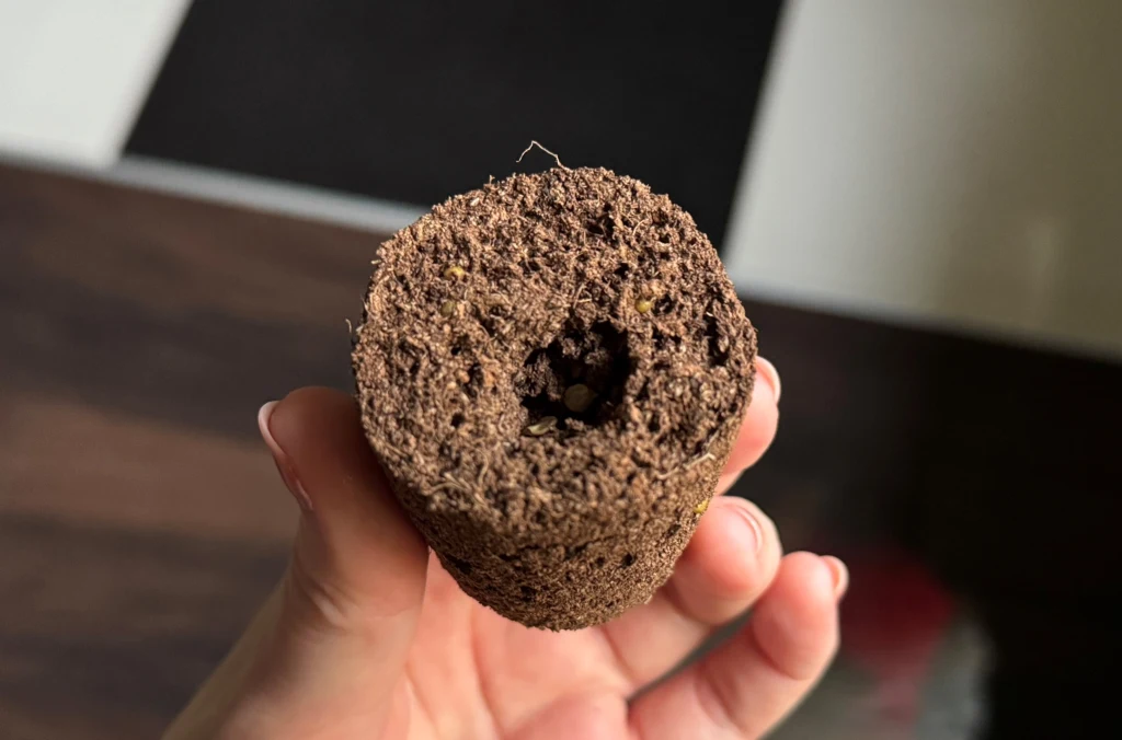 Okrągły brykiet torfowy do wysiewu roślin, trzymany w dłoni, z wyraźnym otworem pośrodku przygotowanym na nasiona.