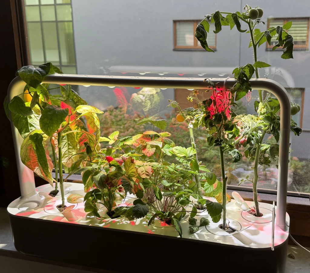 Doniczkowy ogród wertykalny z kilkoma roślinami uprawianymi pod sztucznym oświetleniem LED, ustawiony na parapecie przy oknie z widokiem na inne budynki.