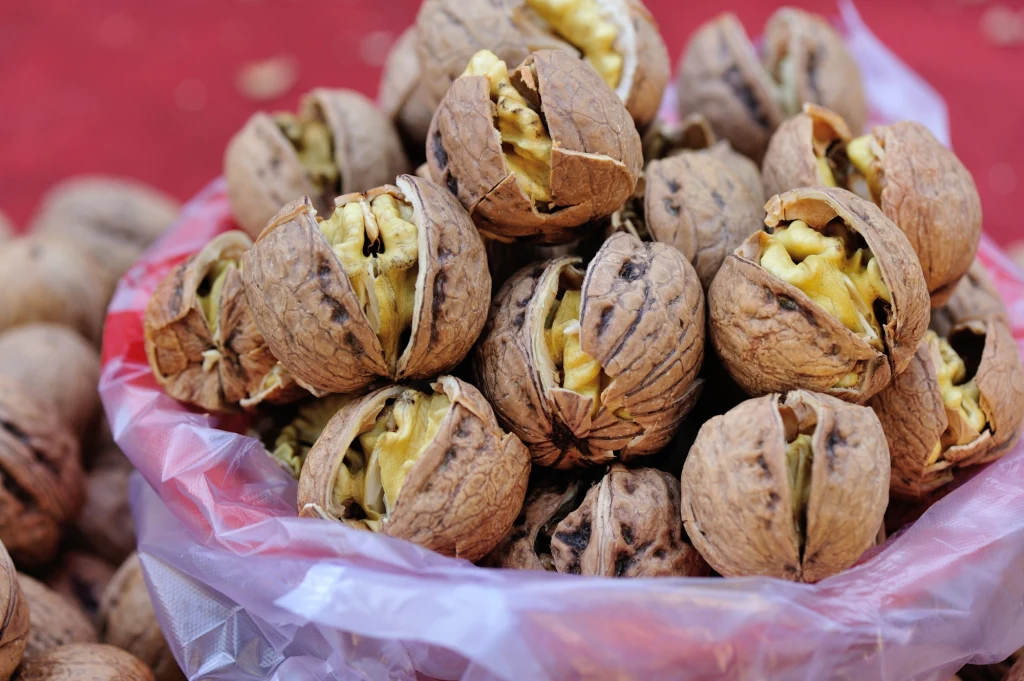 Sterta łupin orzecha włoskiego z widocznymi wnętrzami, ułożona w przezroczystej torbie na tle czerwonego podłoża.