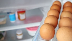 Salmonella na skorupach jaj. GIS wycofuje określoną partię 