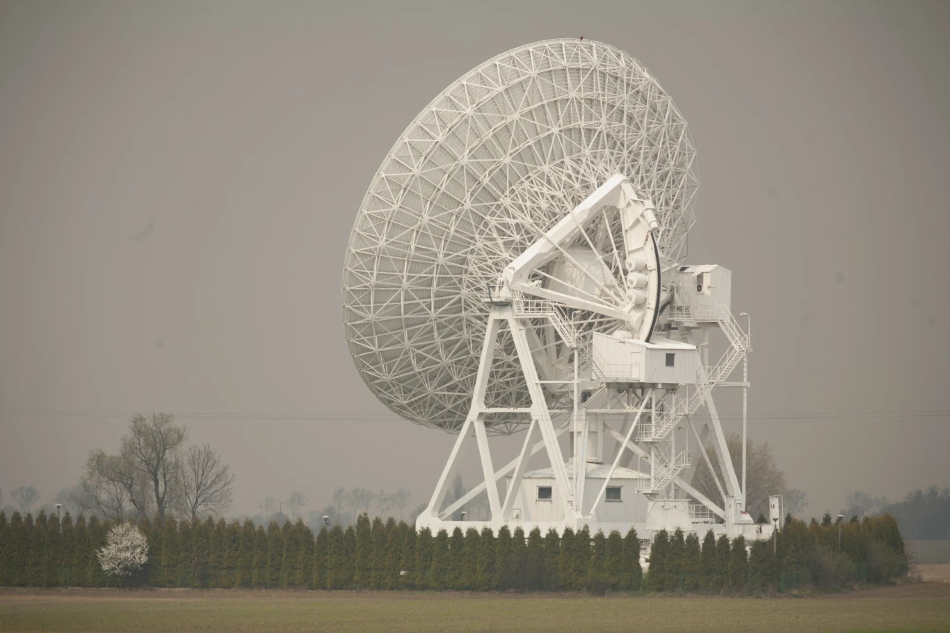 Radioteleskop w Toruniu to największy tego typu obiekt w Polsce Duża biała antena satelitarna na otwartym terenie, otoczona zielonymi krzewami, w tle rozmyte drzewa i szare niebo.