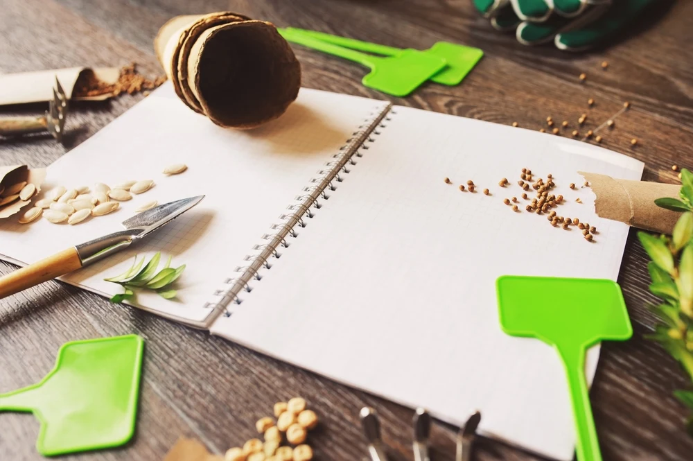 Twórz zielone przestrzenie marzeń – aplikacja do projektowania pomoże Ci zaplanować każdy szczegół Twórz zielone przestrzenie marzeń – aplikacja do projektowania pomoże Ci zaplanować każdy szczegół