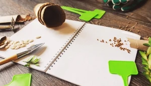 Twórz zielone przestrzenie marzeń – aplikacja do projektowania pomoże Ci zaplanować każdy szczegół