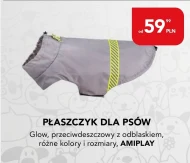 Пальто Amiplay