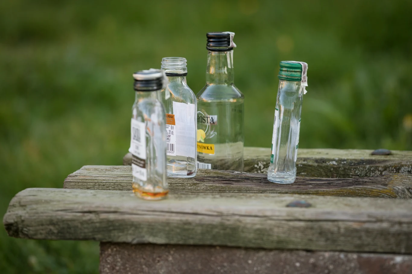Cztery małe, puste butelki po alkoholu ustawione na starej, drewnianej ławce na tle rozmytej zielonej trawy