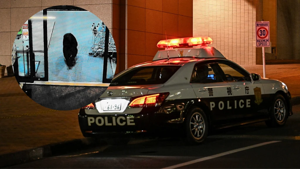 W Japonii doszło do ataku niedźwiedzia na dwie osoby w supermarkecie