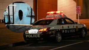 W Japonii doszło do ataku niedźwiedzia na dwie osoby w supermarkecie