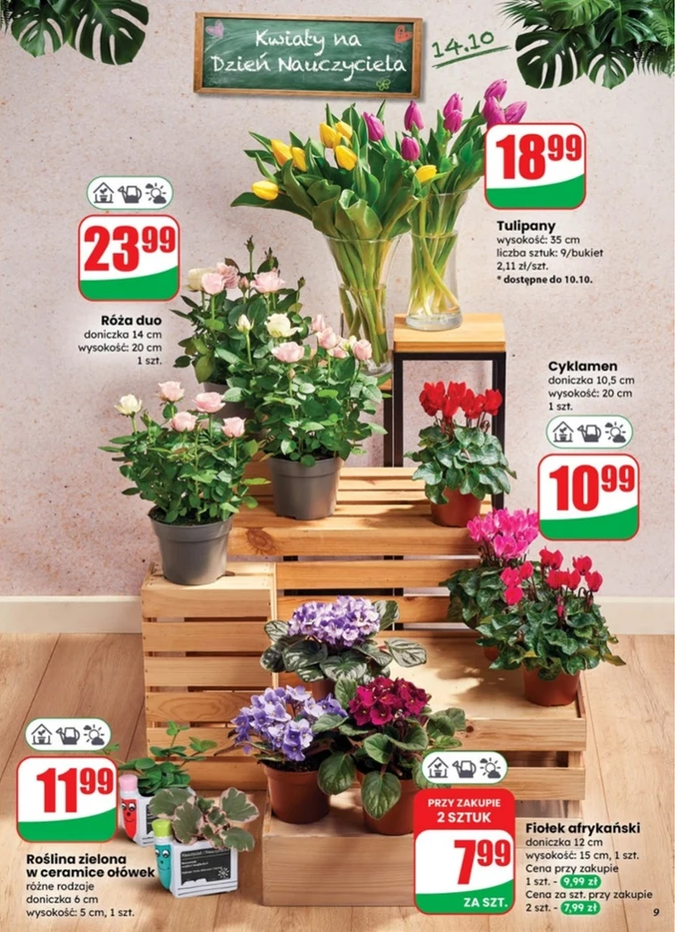 leaflet page preview image