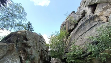 Rezerwat przyrody Prządki, znajduje się niedaleko Krosna