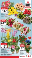 Mega okazje tygodnia – Intermarché