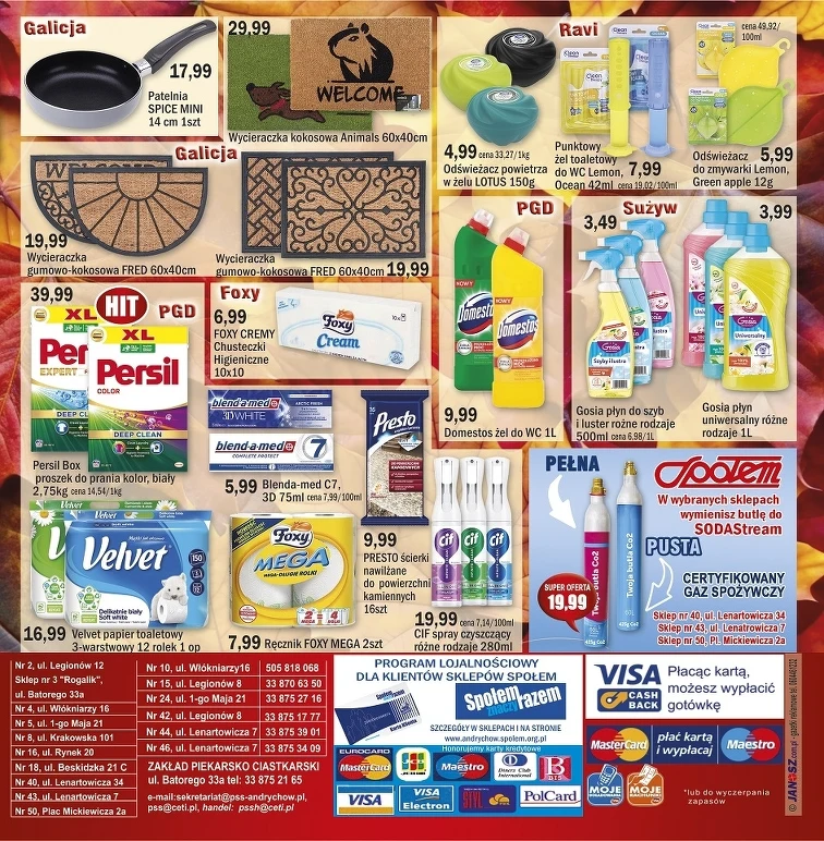 leaflet page preview image