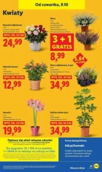 Zadbaj o swój portfel – Lidl