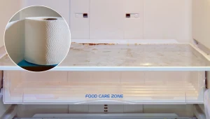 Mama od 20 lat wkłada papier toaletowy do lodówki. Powód może zaskoczyć